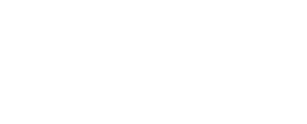 BYD Logo